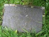 image of grave number 244196